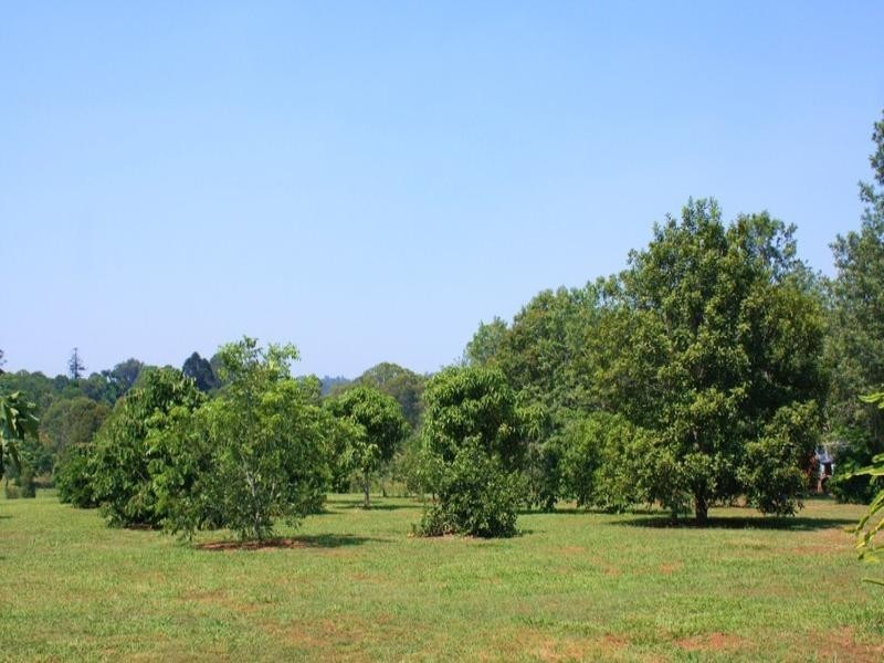 50 Larkin Road, Pie Creek QLD 4570