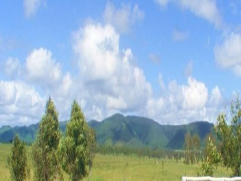 14 Wonga Court, Lower Wonga QLD 4570