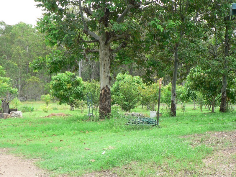 299 GOOTCHIE Road, Gootchie QLD 4650