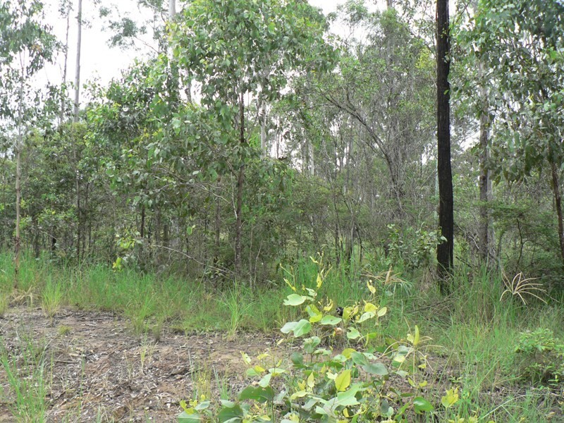 Lot 1511 Leggetts Lane, Glenwood QLD 4570