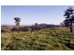 Gunalda QLD 4570