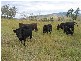 Gympie QLD 4570