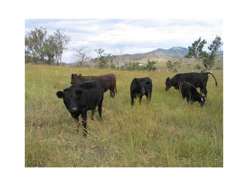 Gympie QLD 4570