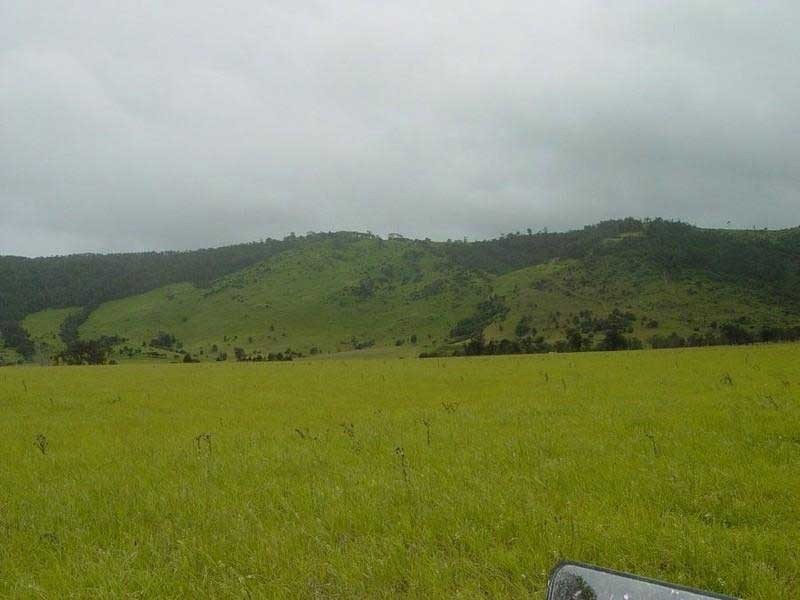 Theebine QLD 4570