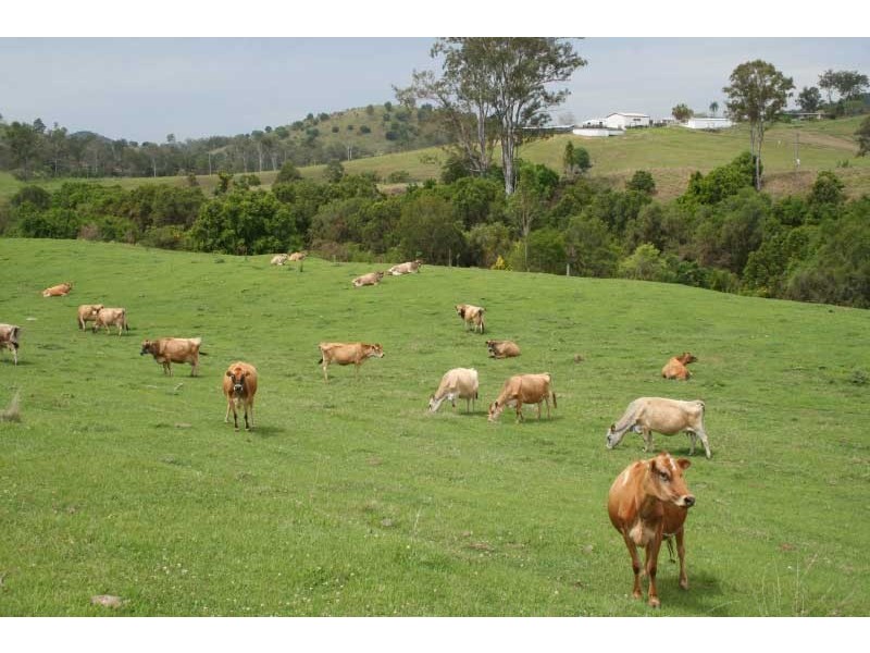 Bells Bridge QLD 4570