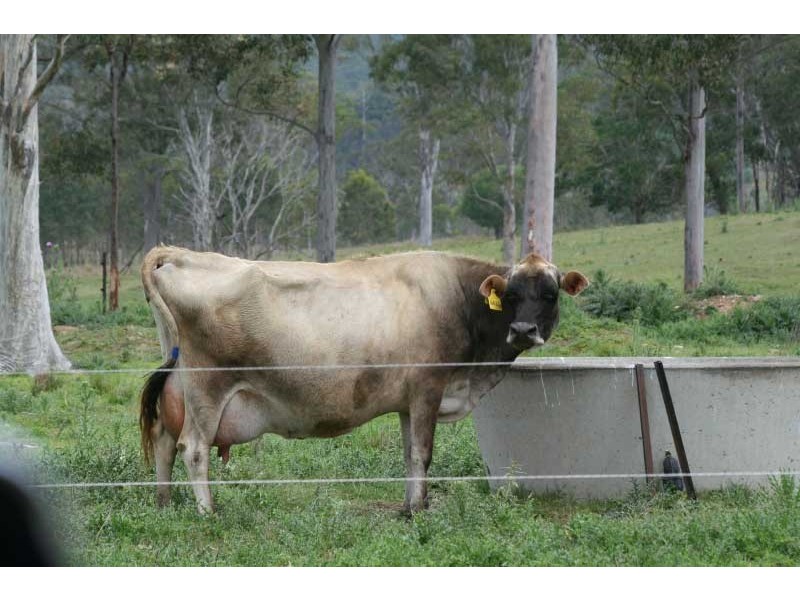 Bells Bridge QLD 4570