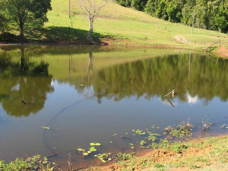 Mothar Mountain QLD 4570