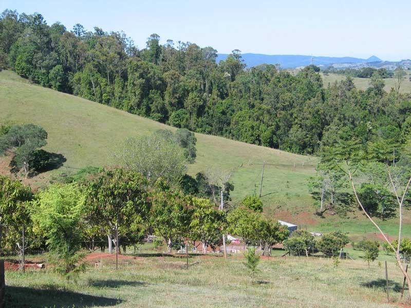 Mothar Mountain QLD 4570