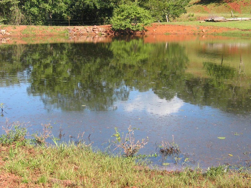 Mothar Mountain QLD 4570