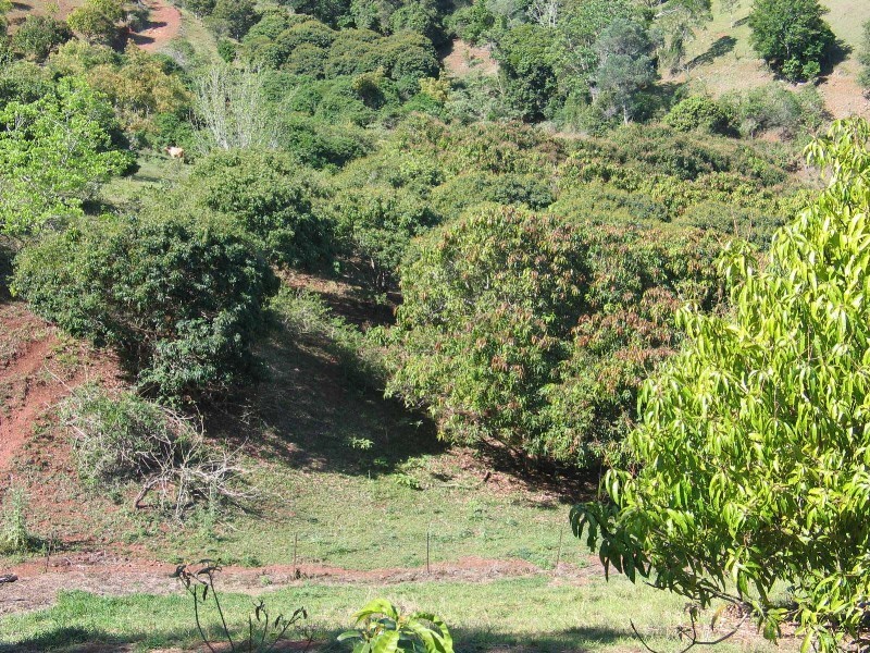 Mothar Mountain QLD 4570