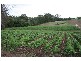 Gympie QLD 4570