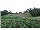 Gympie QLD 4570