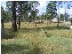 81 NETHERBY Road, Gundiah QLD 4650