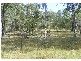 81 NETHERBY Road, Gundiah QLD 4650