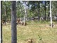 81 NETHERBY Road, Gundiah QLD 4650