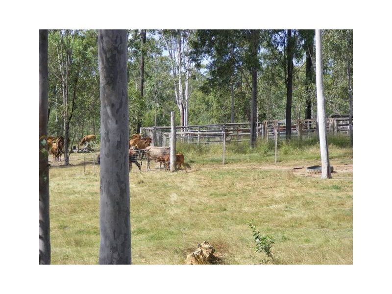 81 NETHERBY Road, Gundiah QLD 4650