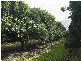 Gympie QLD 4570
