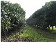 Gympie QLD 4570