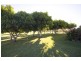 Pie Creek QLD 4570