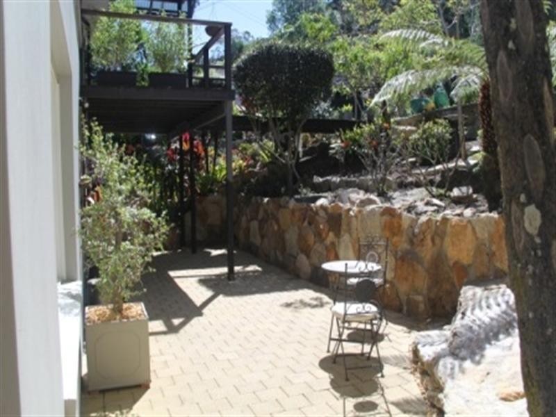 19 Yiremba Place, Forestville NSW 2087