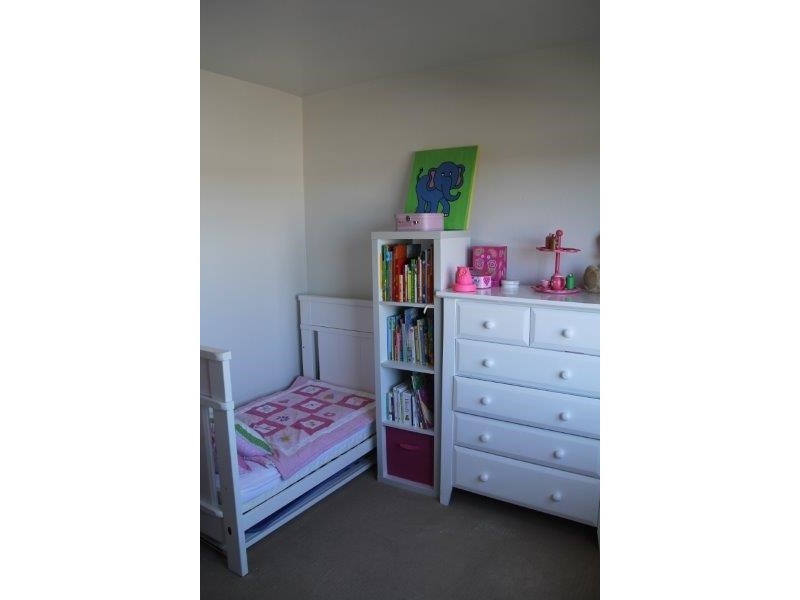 17/36 Cavill Street, Freshwater NSW 2096