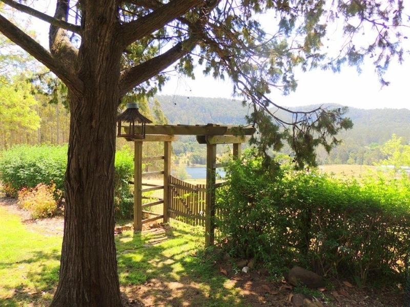 143 Phillips Road, Waukivory NSW 2422