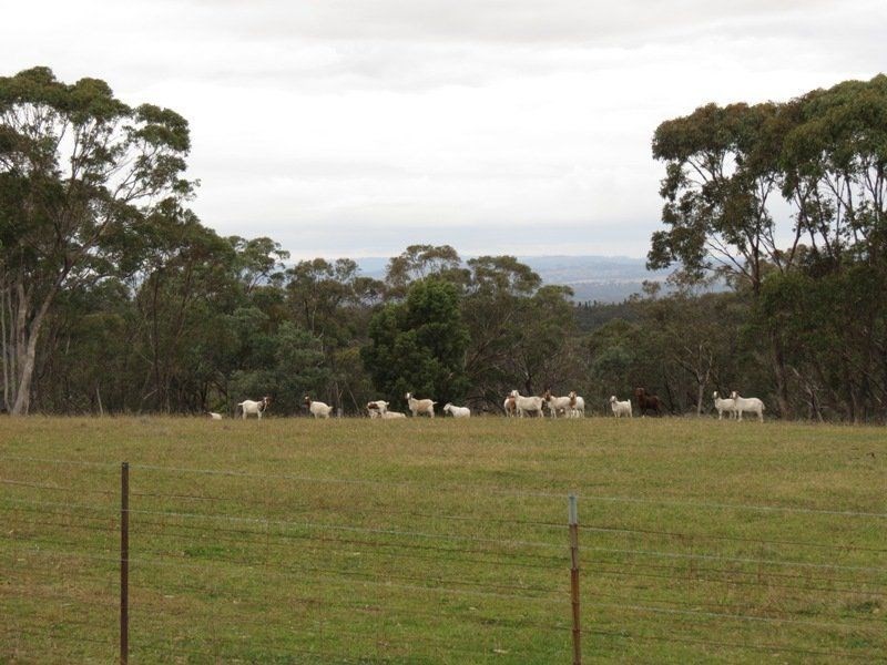 00 “Mountain View”, Coolah NSW 2843