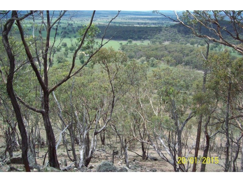 00 “Mountain View”, Coolah NSW 2843