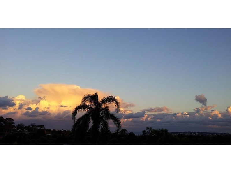 10 Tamworth Place, Allambie Heights NSW 2100