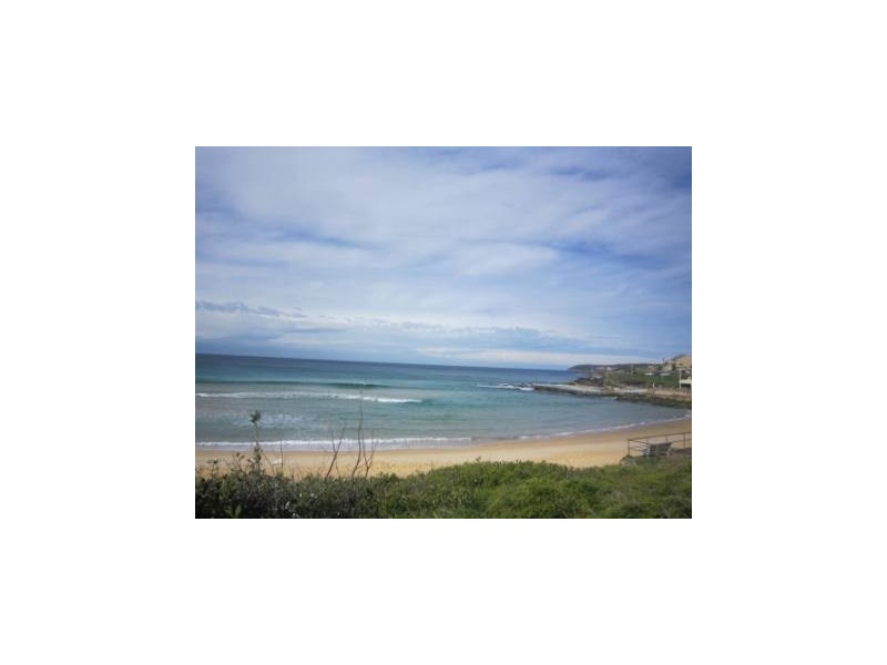 13/52 Carrington Parade, Curl Curl NSW 2096