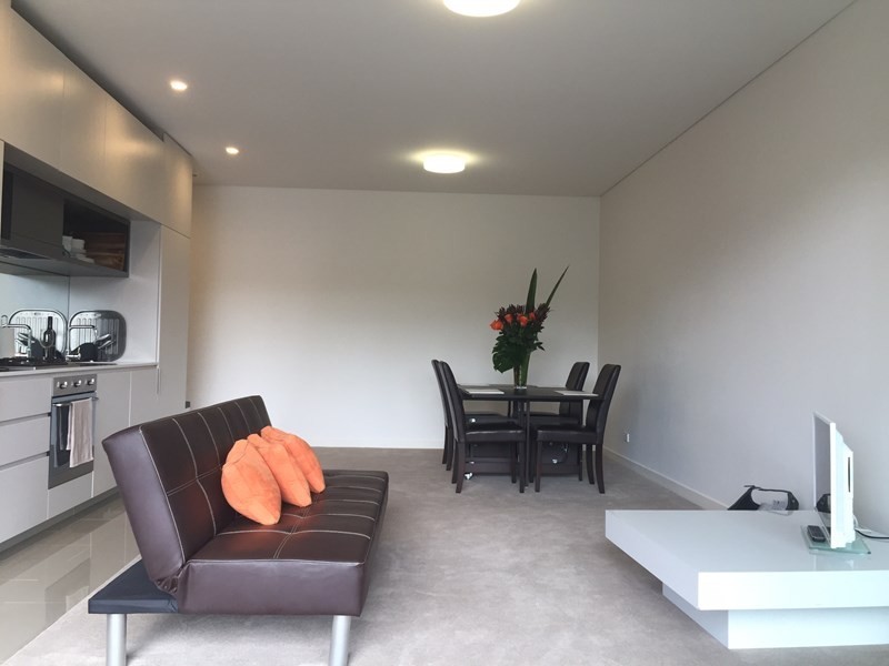 302/4 Denison Road, Camperdown NSW 2050