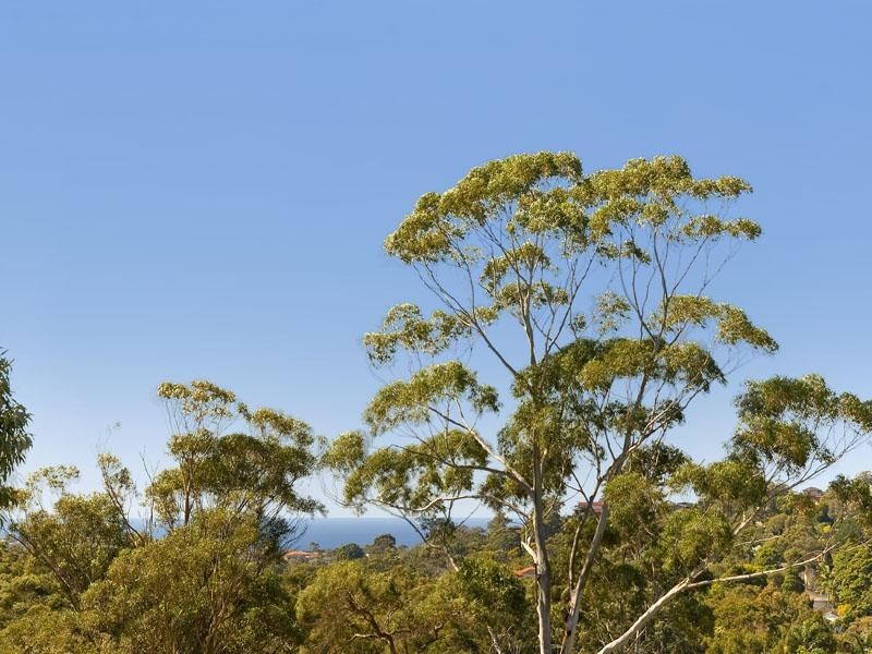 5 Boyer Road, Beacon Hill NSW 2100