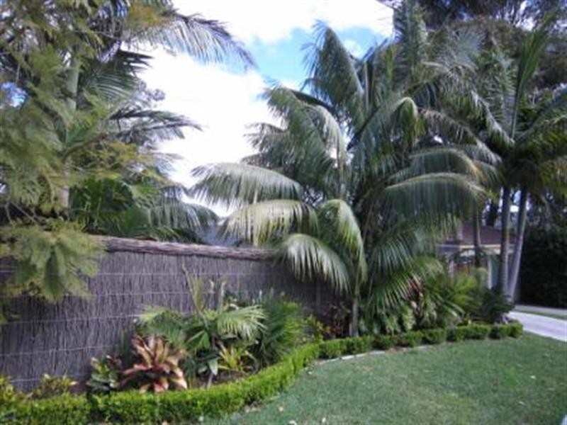 2/26 Dalley Street, Queenscliff NSW 2096