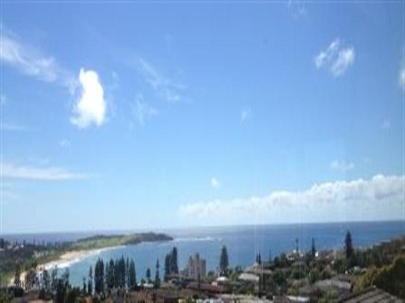 41 Wheeler Parade, Dee Why NSW 2099