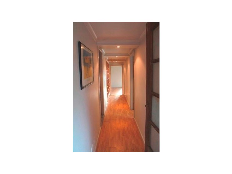 31a Mary Street, Beacon Hill NSW 2100