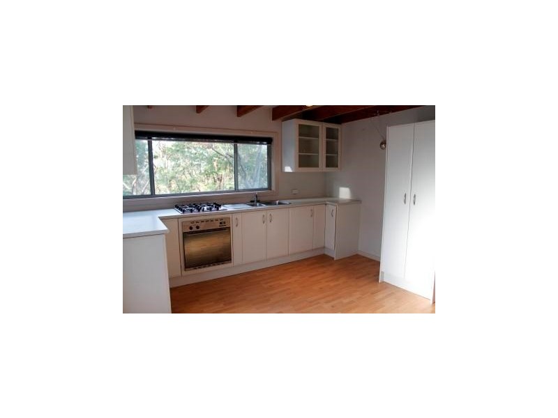 31a Mary Street, Beacon Hill NSW 2100