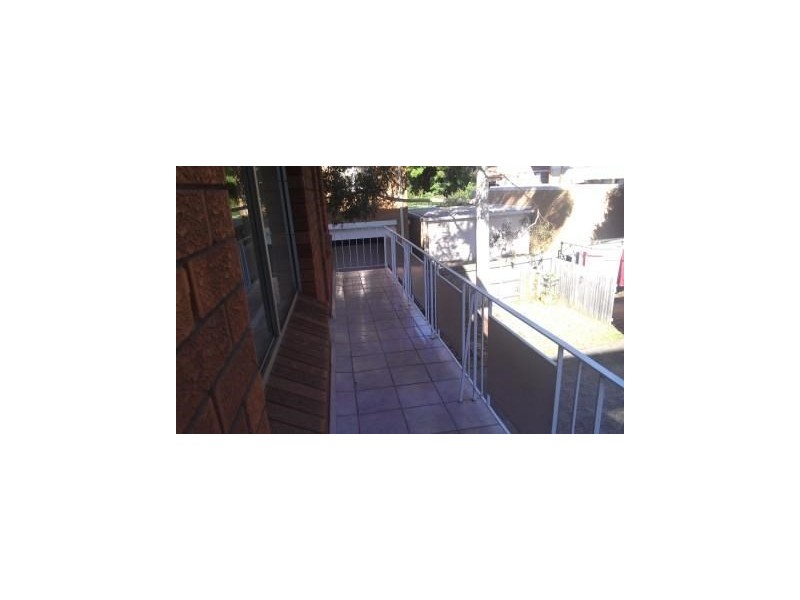 3/41 Oaks Avenue, Dee Why NSW 2099