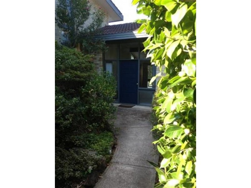 56 Arnhem Road, Allambie Heights NSW 2100