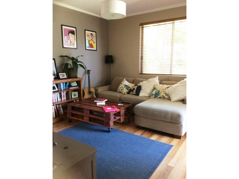 1/8 Avon Road, Dee Why NSW 2099