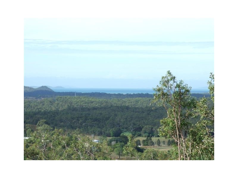 43 Lelona Drive, Bloomsbury QLD 4799