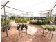 73 Wheelers Lane, Dubbo NSW 2830