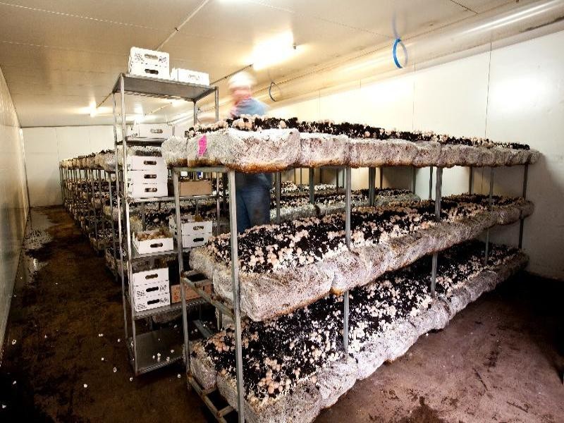 74R North Minore Road, Dubbo NSW 2830