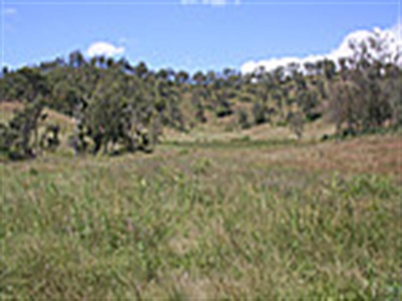 0 Philp Mountain Road, Running Creek QLD 4287