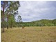 154 Tremayne Road, Mundoolun QLD 4285