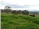 Laravale QLD 4285