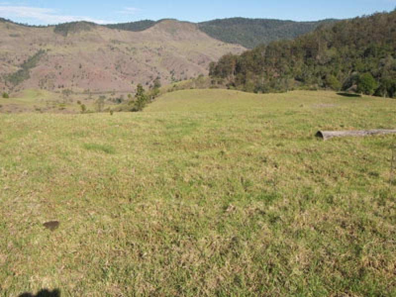 1649 Running Creek Road, Beaudesert QLD 4285