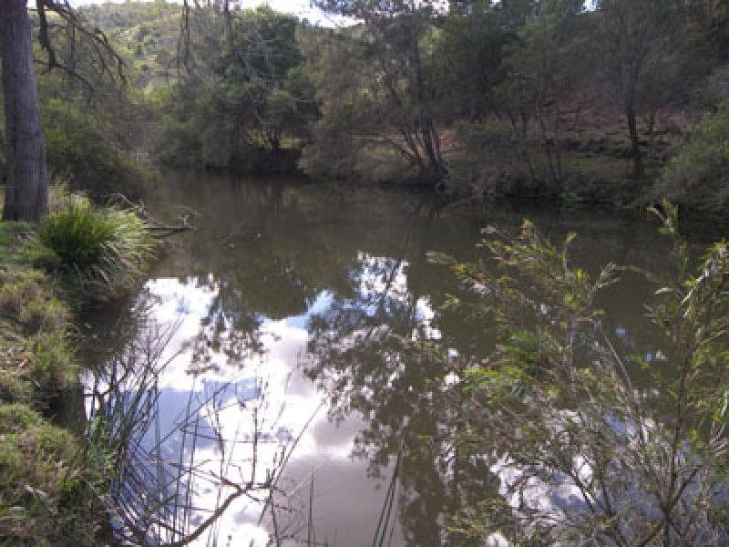 1649 Running Creek Road, Beaudesert QLD 4285