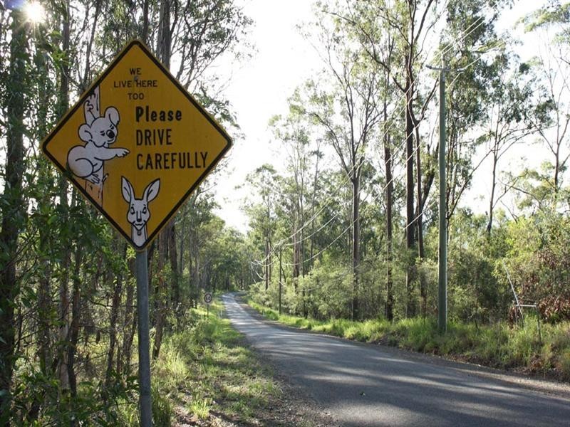 412 Dennis Road, Cedar Vale QLD 4285