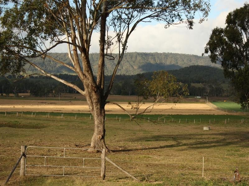 1087 Kerry Road, Kerry QLD 4285