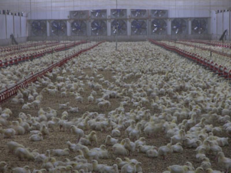 0 Mount Walker West Road, Rosevale QLD 4340